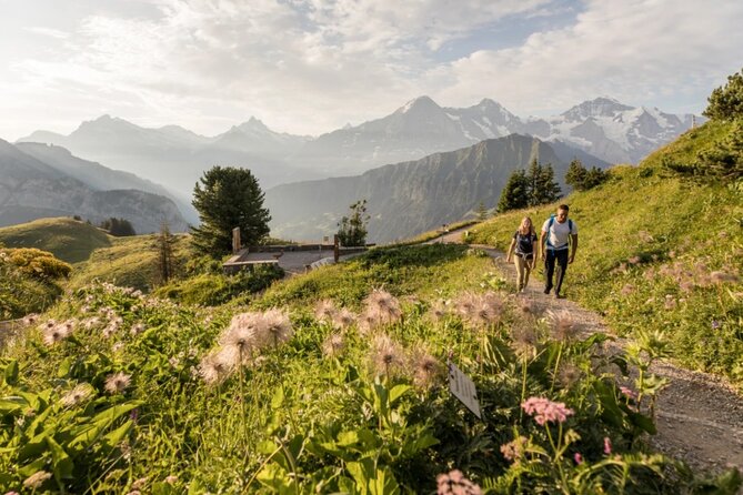 Schynige Platte Cogwheel Railway Return Ticket - Alphorns between 11 a.m. and 2 p.m.