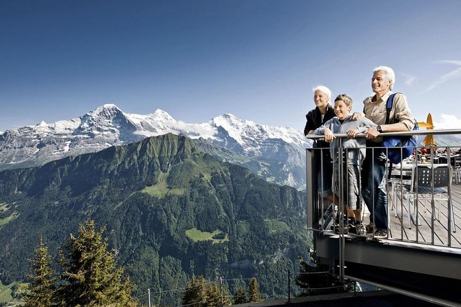 Schynige Platte Cogwheel Railway Return Ticket - Who should book this mountain outing?