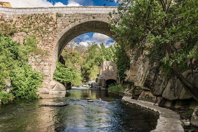 Segovia with Alcazar Guided Tour by High-Speed Train from Madrid - What the private format really gives you