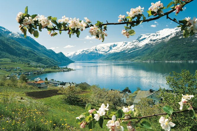 Self-Guided 22-Hour Round Trip From Oslo To Sognefjord With Flåm Railway - The Aurlandsfjord and Nærøyfjord cruise