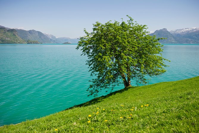 Self-Guided 22-Hour Round Trip From Oslo To Sognefjord With Flåm Railway - Gudvangen to Voss by bus