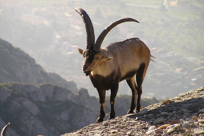 Semi-Private Montserrat Monastery, Funicular & Scenic Nature Walk - What the $89.53 price delivers