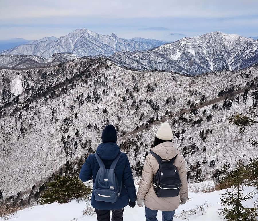 Seoul: Nami, Rail Bike, Morning Garden (+Healing Park) - Why this Gyeonggi Province trip takes a full day
