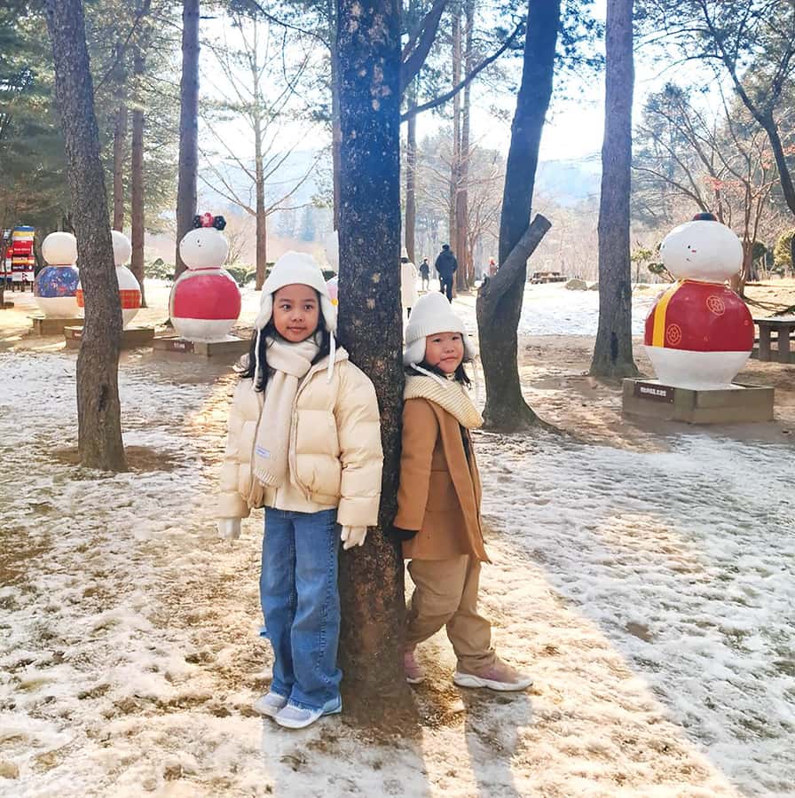 Seoul: Nami, Rail Bike, Morning Garden (+Healing Park) - Optional Starlight Garden at The Stay Healing Park