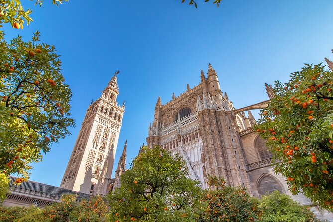 Seville in One Day by High speed Train from Madrid Private Tour - Communication and cancellation risks
