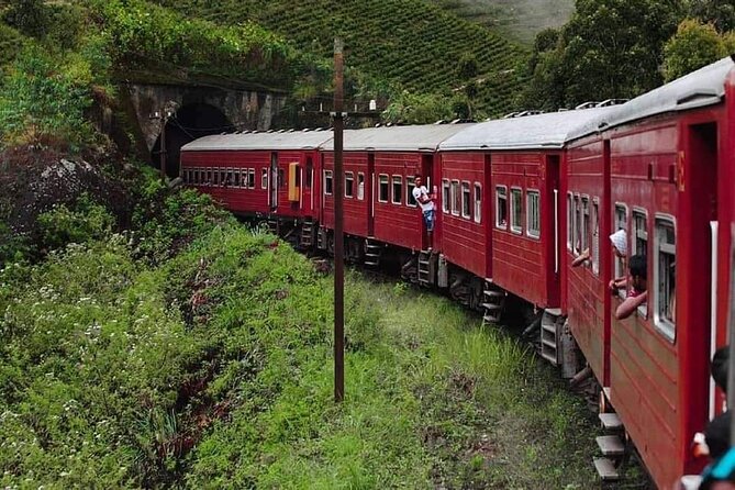 Sigiriya, Kandy to Ella TRain Ride plus Up Country TEA[B&B Basis] - Sinharaja Forest Reserve gives the route a strong natural opening