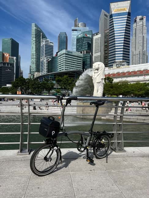 Singapore Brompton Bike Tour from Rail Corridor, with food! - Why this four-hour bike tour works