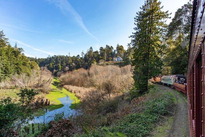 Skunk Train: Pudding Creek Express from Fort Bragg - Key things to know before you go