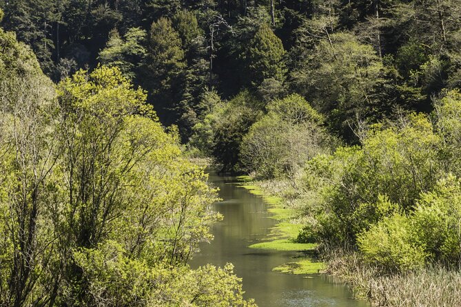 Skunk Train: Pudding Creek Express from Fort Bragg - Leaving Fort Bragg on the Pudding Creek Express