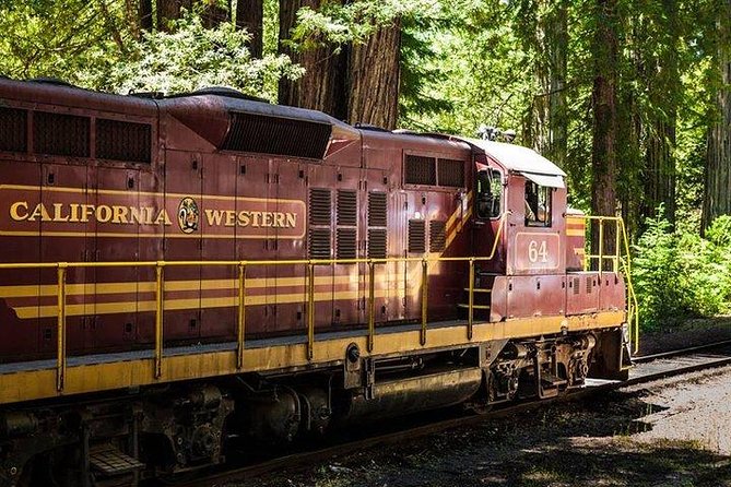 Skunk Train: Wolf Tree Turn from Willits - Key points to know before boarding