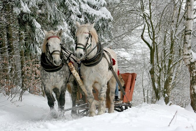 Sleigh Ride & Bonfire in Zakopane with Funicular - Private Trip - The day in a nutshell