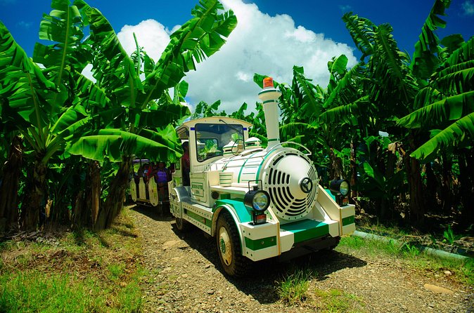 Small train tour of a banana farm in Martinique - Fruit trees, sugar cane, and a few surprises