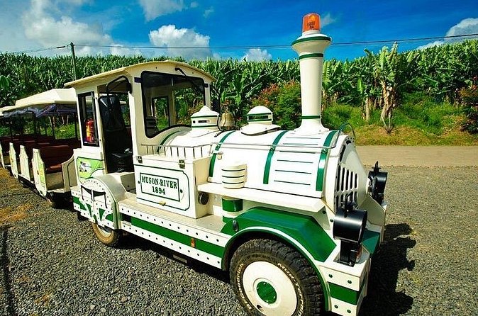 Small train tour of a banana farm in Martinique - How good is the value at $23.88?