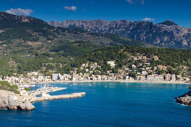 Soller Port with Train and Tram Mallorca Half Day Trip - Why this Mallorca half-day trip is appealing