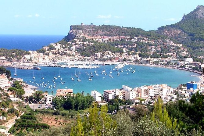 Soller Port with Train and Tram Mallorca Half Day Trip - What the tight schedule means for you