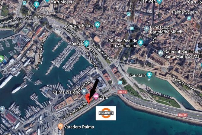 Soller Port with Train and Tram Mallorca Half Day Trip - Meeting in Palma and handling the pickup