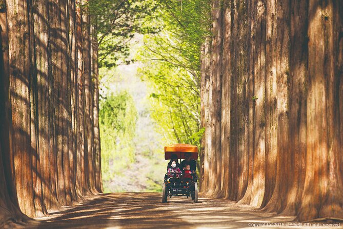 Special Private Tour Nami Island, Rail Bike, Petite France - Petite France, a small French-themed village in Korea