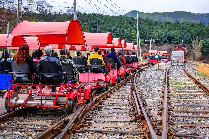 Special Private Tour Nami Island, Rail Bike, Petite France - What the $275 price really buys