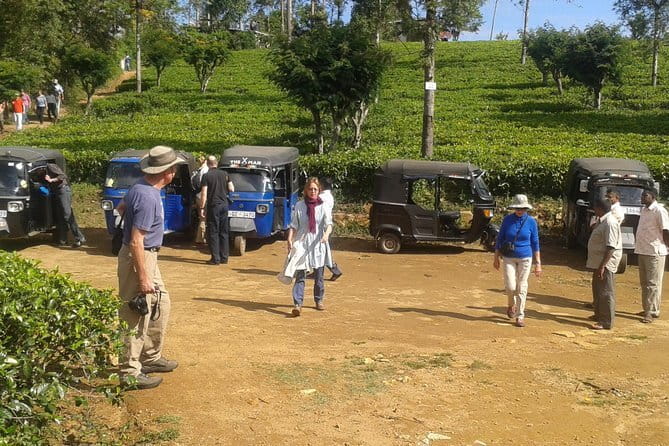 Special Tourists Train Ride in Ella - Calypso Train - Reserved seating versus the cheaper station fare