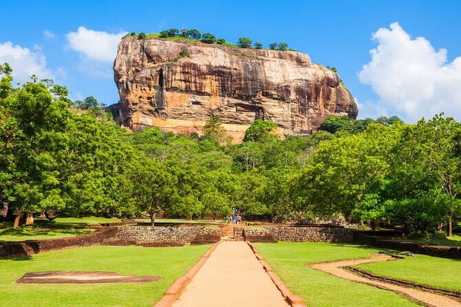 Sri Lanka Ella Private Day Tour Nine Arch & Elephant transit home - Udawalawa Elephant Transit Home in 40 minutes