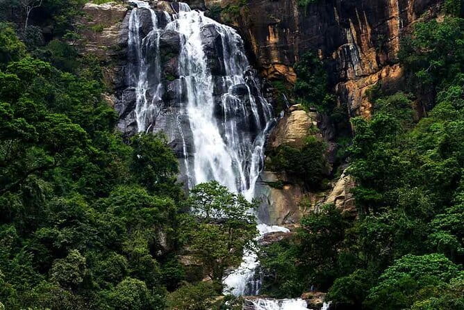 Sri Lanka Ella Private Day Tour Nine Arch & Elephant transit home - Meals, timing, and the real cost