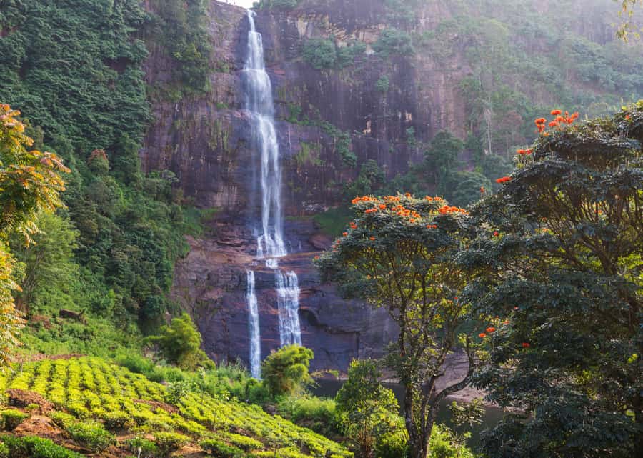 Sri Lanka Private 2-day Tour:Train Trip, Kandy, Nuwara Eliya - What this two-day Sri Lanka tour actually covers