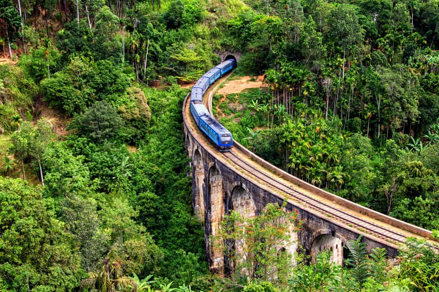 Sri Lanka Private 2-day Tour:Train Trip, Kandy, Nuwara Eliya - Peradeniya Botanical Garden: allow time for the big walk