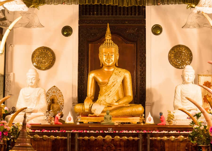 Sri Lanka Private 2-day Tour:Train Trip, Kandy, Nuwara Eliya - The long return to Colombo