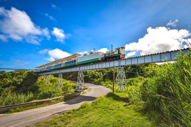 St Kitts Scenic Train Tour (Hotel or Ship) - What to expect on the 30-mile train ride
