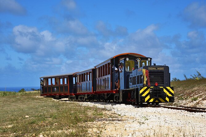 St. Nicholas Abbey & Heritage Railway - Five details worth knowing before you go