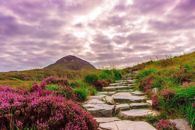 Sustainable Connemara and Galway Bay Rail Tour from Dublin - Roundstone Harbor and the changing lunch plan