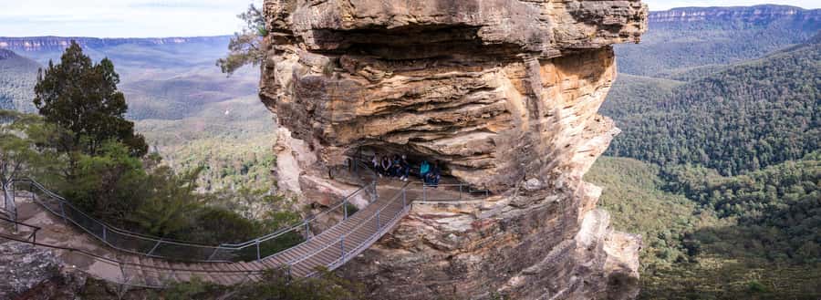 Sydney: Heritage Zig Zag Steam Train and Blue Mountains Tour - Price, timing, and who gets the best value