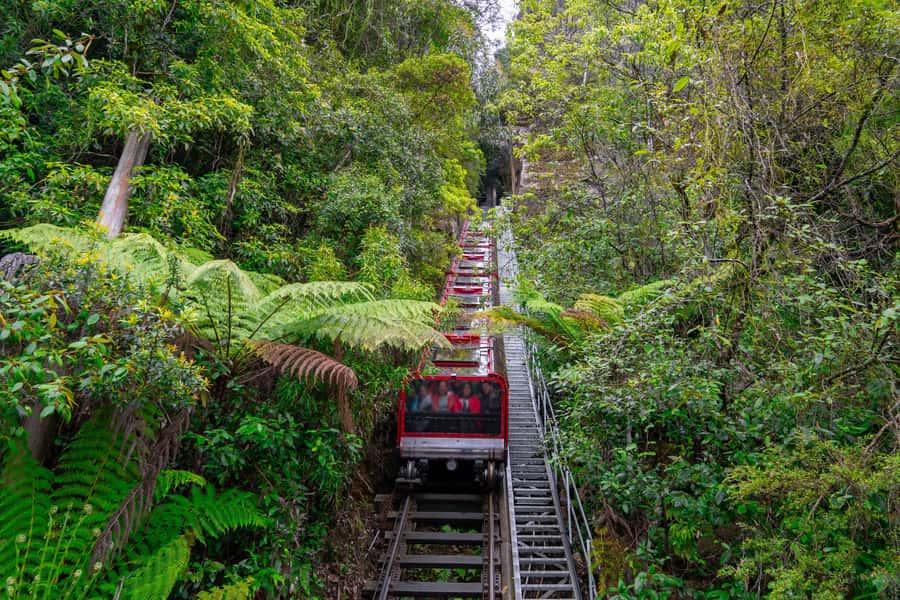 Sydney: Heritage Zig Zag Steam Train and Blue Mountains Tour - Katoomba lunch: one hour, limited flexibility