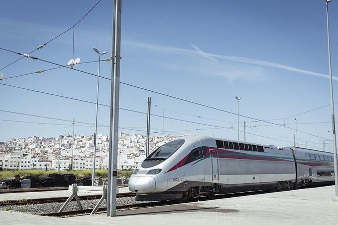 Tangier Private Day Trip from Casablanca by High Speed Train - Achakkar Beach and the short camel ride