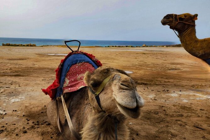 Tangier Private Day Trip from Casablanca by High Speed Train - The Kasbah and the Museum of the Kasbah