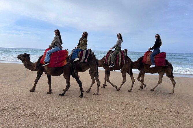 Tangier Tour from Casablanca by High Speed Train - Cap Spartel and the meeting of two seas