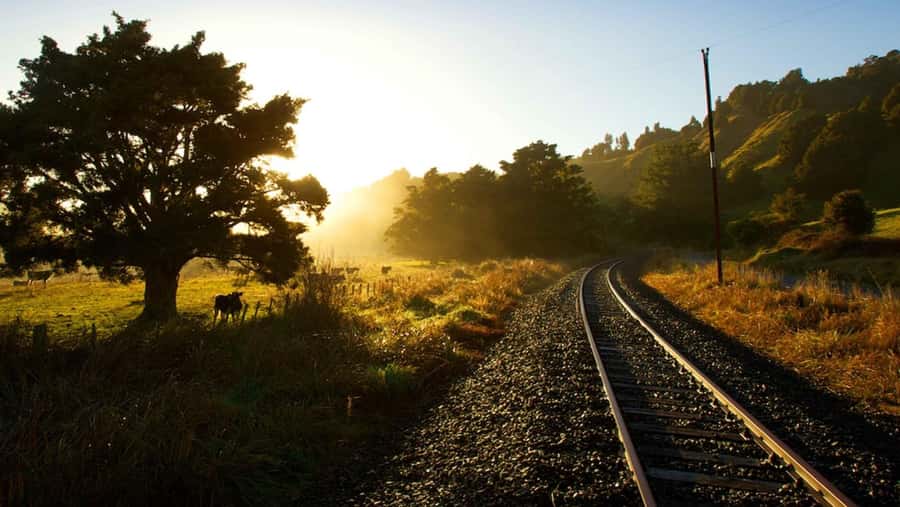 Taumarunui: Forgotten World Rail Cart Tour with Lunch - Key points to know before you go