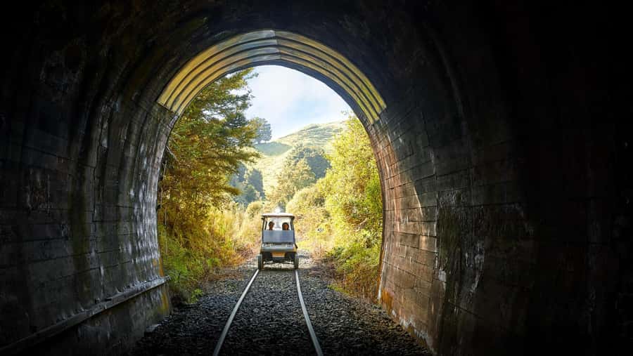 Taumarunui: Forgotten World Rail Cart Tour with Lunch - Why this railway trip feels different