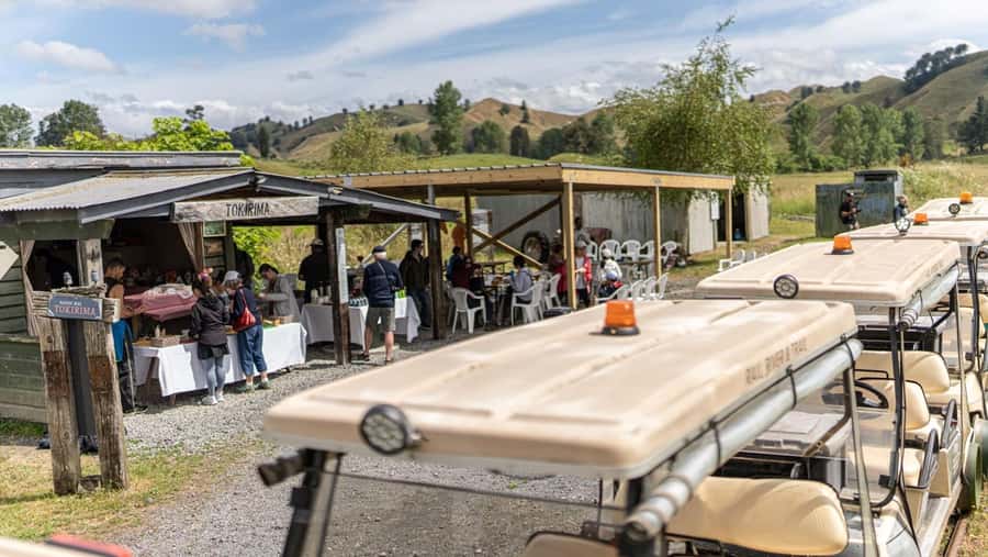 Taumarunui: Forgotten World Rail Cart Tour with Lunch - From Okahukura through ten railway tunnels