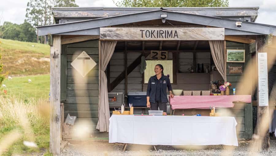 Taumarunui: Forgotten World Rail Cart Tour with Lunch - Is $218 good value for five hours?