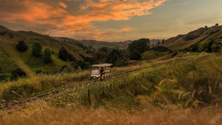 Taumarunui: Forgotten World Rail Cart Tour with Lunch - Starting at the Forgotten World Motel