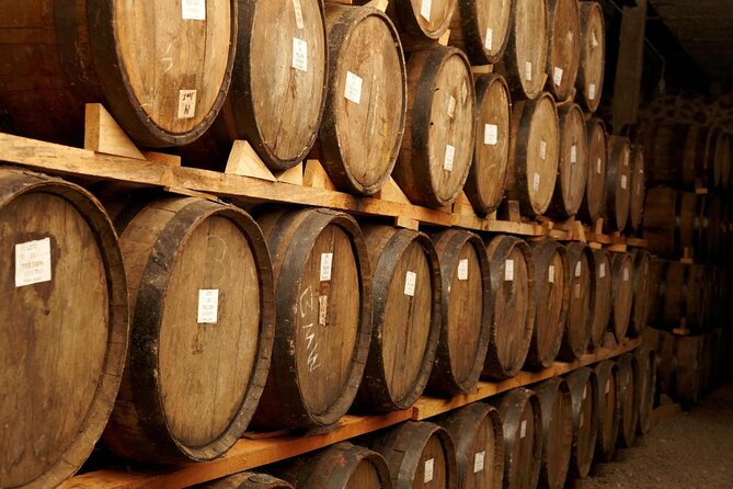 Tequila Day Trip from Guadalajara with Jose Cuervo Express Train - Key points before you book