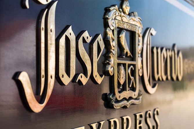 Tequila Day Trip from Guadalajara with Jose Cuervo Express Train - The agave fields and the jima demonstration