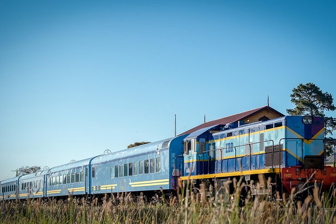 The Q Train - Q Class Social Dining - Who will enjoy this Q Train dinner most?