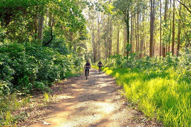 The Train Track Trail Mountain Bike Ride - Private experience - Key points to know before booking