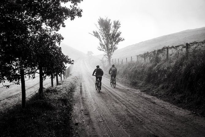 The Train Track Trail Mountain Bike Ride - Private experience - Pickup, timing, and practical planning