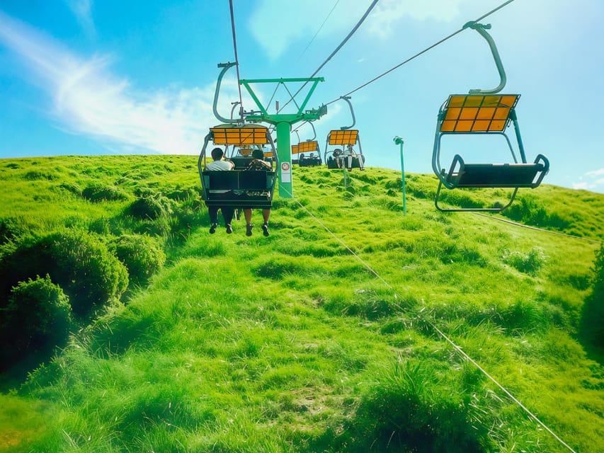 Tokyo:Izu Penisula Train Mt Omuro, Capybara Sightseeing Trip - What the ¥87 price really covers