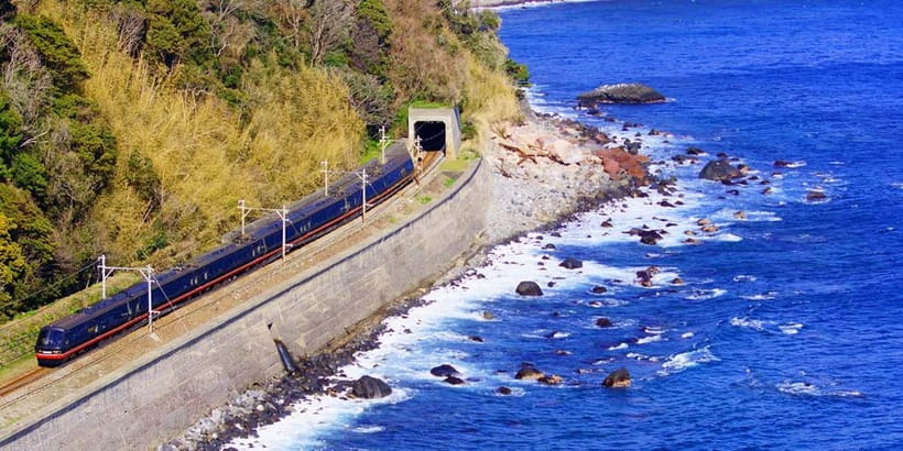 Tokyo: Izu Scenic Oceanview Train, Volcano, Coast Day Trip - Key details before you book