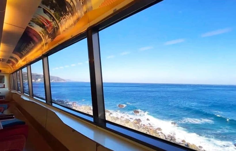 Tokyo: Izu Scenic Oceanview Train, Volcano, Coast Day Trip - Cactus, animals, and a possible lunch problem