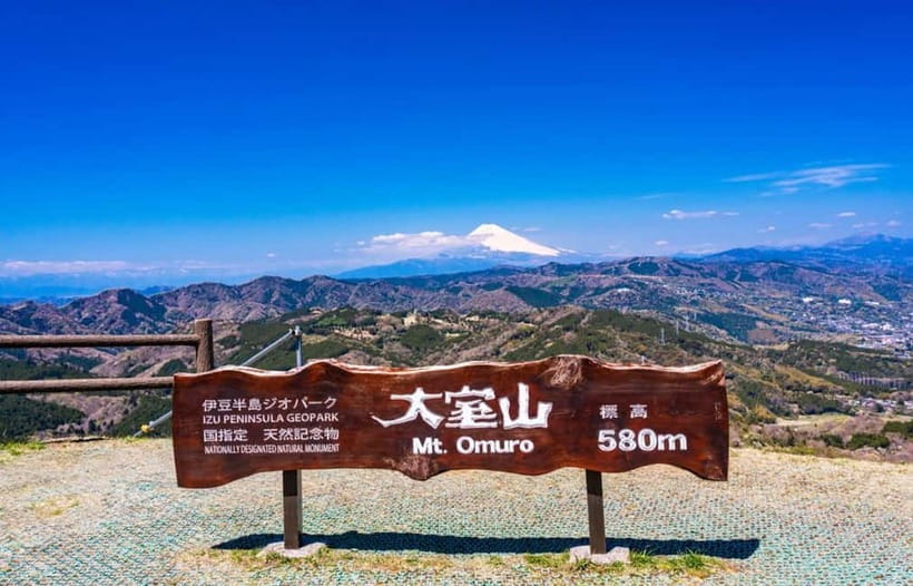 Tokyo: Izu Scenic Oceanview Train, Volcano, Coast Day Trip - Should you book it?
